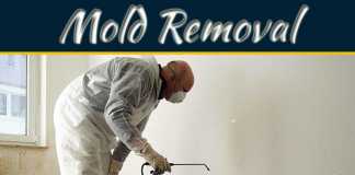 Mold Abatement and Removal – Find Mold Removal Service in Bethesda Mold Abatement and Removal – Find Mold Removal Service in Bethesda