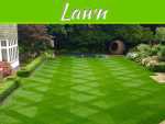 Tips For Having The Best Lawn Possible Tips For Having The Best Lawn Possible