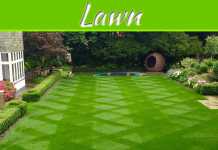 Tips For Having The Best Lawn Possible Tips For Having The Best Lawn Possible