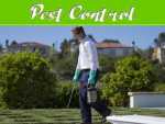 Tips For Keeping Harmful Bugs Out Of Your Garden Tips For Keeping Harmful Bugs Out Of Your Garden