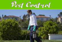 Tips For Keeping Harmful Bugs Out Of Your Garden Tips For Keeping Harmful Bugs Out Of Your Garden