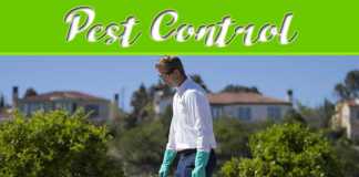 Tips For Keeping Harmful Bugs Out Of Your Garden Tips For Keeping Harmful Bugs Out Of Your Garden