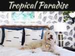 Turn Your Bedroom Into A Peaceful Tropical Paradise Turn Your Bedroom Into A Peaceful Tropical Paradise