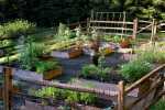 vegetable-garden-design