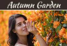 6 Best Flowers To You Can Grow For Your Autumn Garden 6 Best Flowers To You Can Grow For Your Autumn Garden