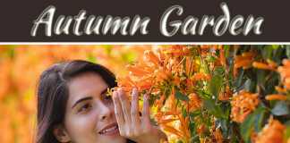 6 Best Flowers To You Can Grow For Your Autumn Garden 6 Best Flowers To You Can Grow For Your Autumn Garden