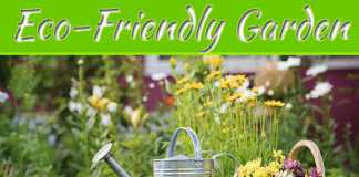6 Ways To Make An Eco-Friendly Garden 6 Ways To Make An Eco-Friendly Garden
