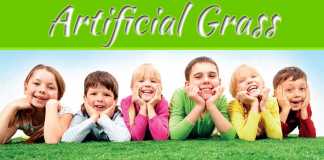 Make Your Quarters Admirable With This Artificial Grass Make Your Quarters Admirable With This Artificial Grass