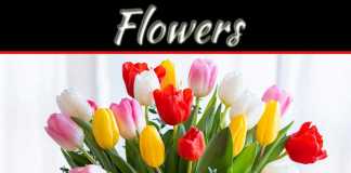 Top 6 Flower Delivery Companies In Spain Top 6 Flower Delivery Companies In Spain