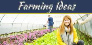 Common Ways To Make Your Small Farm Profitable Common Ways To Make Your Small Farm Profitable