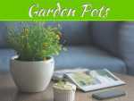 Decorate Your Garden With Great Garden Pots Decorate Your Garden With Great Garden Pots