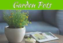 Decorate Your Garden With Great Garden Pots Decorate Your Garden With Great Garden Pots