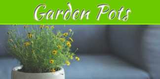 Decorate Your Garden With Great Garden Pots Decorate Your Garden With Great Garden Pots