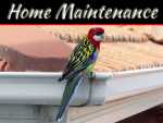 Essential Exterior Summer Home Maintenance Tips Essential Exterior Summer Home Maintenance Tips