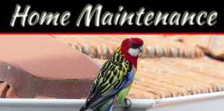 Essential Exterior Summer Home Maintenance Tips Essential Exterior Summer Home Maintenance Tips