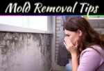 Mold Removal Tips: 10 Effective Ways To Get Rid Of Mold In Your Home Mold Removal Tips: 10 Effective Ways To Get Rid Of Mold In Your Home