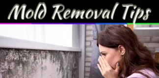 Mold Removal Tips: 10 Effective Ways To Get Rid Of Mold In Your Home Mold Removal Tips: 10 Effective Ways To Get Rid Of Mold In Your Home