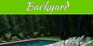 Small Changes That Can Give Big Boosts To Your Backyard Small Changes That Can Give Big Boosts To Your Backyard