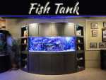 Step-By-Step Guide To Set Up A Fish Tank Step-By-Step Guide To Set Up A Fish Tank