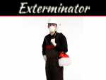 When Should I Call An Exterminator? When Should I Call An Exterminator?
