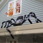 giant-spider