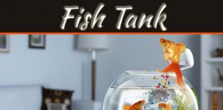 Health Benefits Of Fish Tank At Home: Success And Harmony Health Benefits Of Fish Tank At Home: Success And Harmony