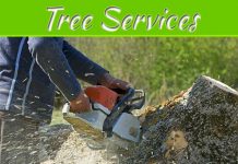 How To Maintain The Trees In Your Garden – Top Tips To Keep Your Trees Healthy How To Maintain The Trees In Your Garden - Top Tips To Keep Your Trees Healthy