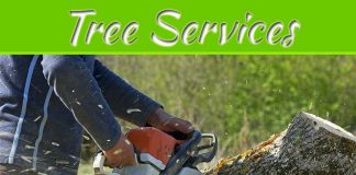 How To Maintain The Trees In Your Garden – Top Tips To Keep Your Trees Healthy How To Maintain The Trees In Your Garden - Top Tips To Keep Your Trees Healthy