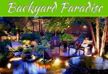 How To Turn Your Backyard Into A Paradise How To Turn Your Backyard Into A Paradise