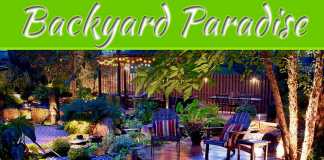 How To Turn Your Backyard Into A Paradise How To Turn Your Backyard Into A Paradise