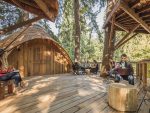 office-treehouse