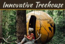 Treehouse For Your Innovative Kids Treehouse For Your Innovative Kids