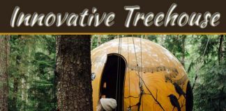 Treehouse For Your Innovative Kids Treehouse For Your Innovative Kids