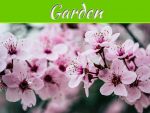 5 Ways To Turn Your Garden Into A Tranquil Chill Out Space 5 Ways To Turn Your Garden Into A Tranquil Chill Out Space