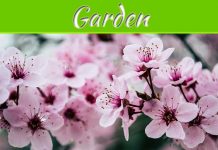 5 Ways To Turn Your Garden Into A Tranquil Chill Out Space 5 Ways To Turn Your Garden Into A Tranquil Chill Out Space