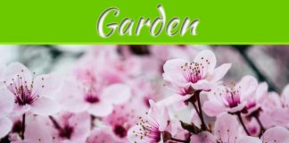 5 Ways To Turn Your Garden Into A Tranquil Chill Out Space 5 Ways To Turn Your Garden Into A Tranquil Chill Out Space