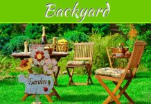 Creating The Perfect Backyard For Summer Entertaining Creating The Perfect Backyard For Summer Entertaining