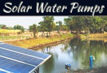 How Solar Water Pumps Can Revolutionize Agriculture In India How Solar Water Pumps Can Revolutionize Agriculture In India