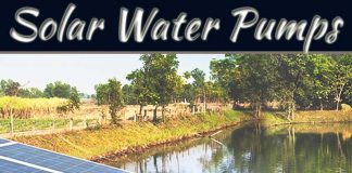 How Solar Water Pumps Can Revolutionize Agriculture In India How Solar Water Pumps Can Revolutionize Agriculture In India