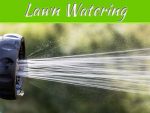 Lawn Watering: Best Schedules And Tips Lawn Watering: Best Schedules And Tips