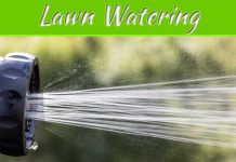 Lawn Watering: Best Schedules And Tips Lawn Watering: Best Schedules And Tips