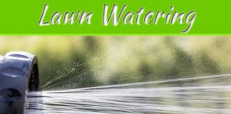 Lawn Watering: Best Schedules And Tips Lawn Watering: Best Schedules And Tips