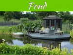 Looking After Your Pond: A Guide Looking After Your Pond: A Guide