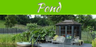 Looking After Your Pond: A Guide Looking After Your Pond: A Guide