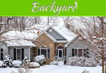 The Best Ways To Keep Your Backyard Risk Free In Winter The Best Ways To Keep Your Backyard Risk Free In Winter