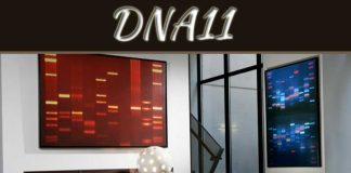 DNA11 Is Revolutionizing The Decor Industry With Personalized Wall Art DNA11 Is Revolutionizing The Decor Industry With Personalized Wall Art