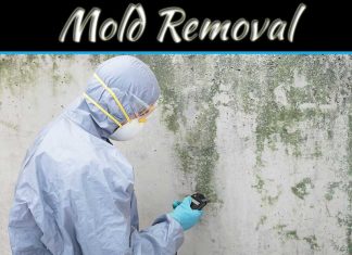 Tips For Mold Removal & Remediation Tips For Mold Removal & Remediation