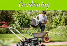 Top 3 Questions To Ask When Choosing A Motorized Wheelbarrow Top 3 Questions To Ask When Choosing A Motorized Wheelbarrow