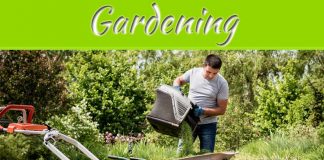 Top 3 Questions To Ask When Choosing A Motorized Wheelbarrow Top 3 Questions To Ask When Choosing A Motorized Wheelbarrow