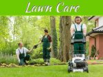 Top Secrets Why Hiring A Professional Lawn Care Service Provider Is the Only Option Top Secrets Why Hiring A Professional Lawn Care Service Provider Is the Only Option